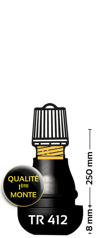 BIHR TR412 Gummiertes Reifenventil - Packung von 1001014