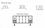 Yuasa -Wartung -freie Batterie mit Säurepaket -YTX14H -B