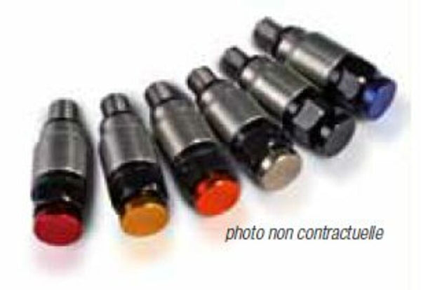 Stainless Pressure Release Valve for Kayaba/Showa M5x 0.8Ky-M05/Blue