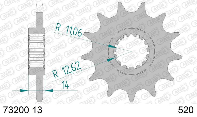 AFAM STAEL STAHRE STROKE FREED 73200-520