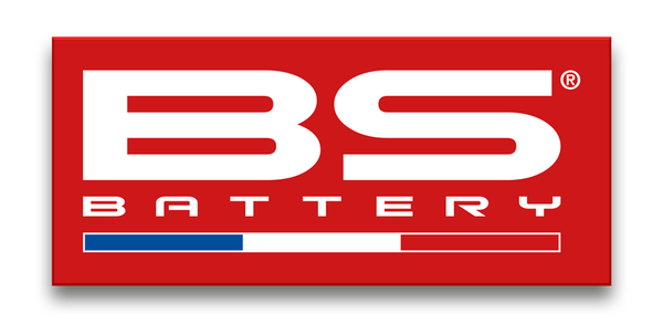 BS Battery Sticker - French flag (red variant) - 300 × 131 mm - 900102