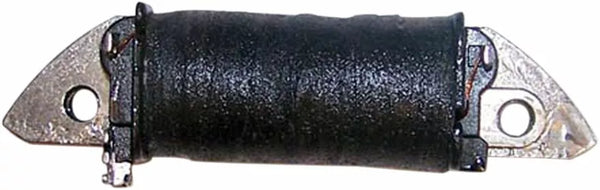 WSM Ladungsspule Sea Doo 004-171