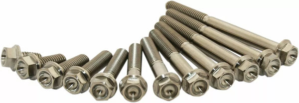 Scar Titanium Bolt M6x15 Pack of 2 Stim6x1502