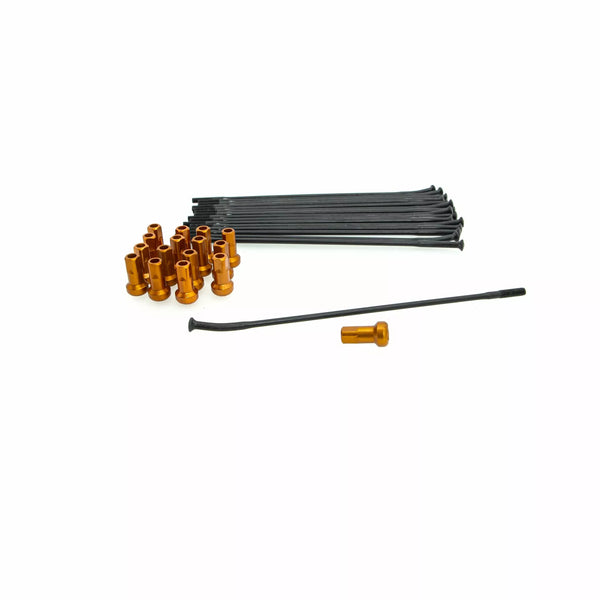 Kite sprach Kit RR 16 Bk/oder 20.927.1.ar