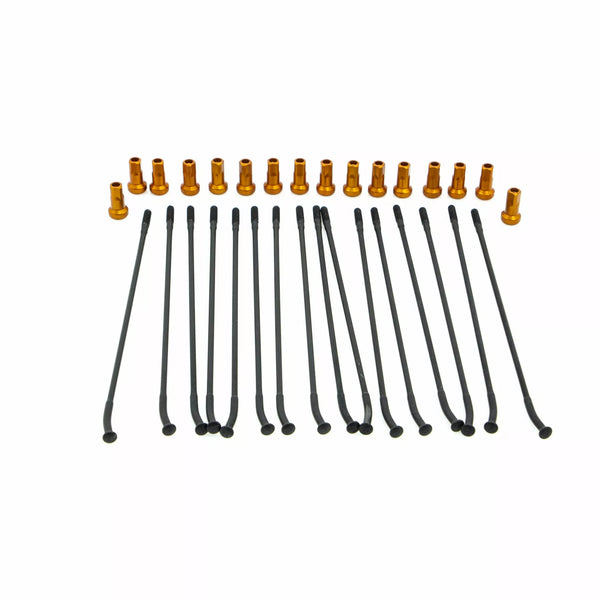 Kite sprach Kit FR 17 Bk/oder 20.924.1.ar