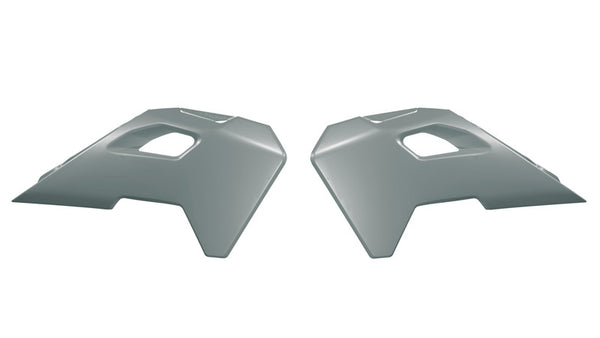 Racetech Kühler deckt R-CVHSQGH0050 ab