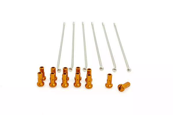 Kite Spokes 19 RR Si /oder Nip 12PC 20.907.0.ar