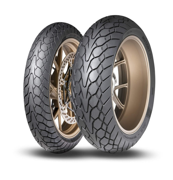 Dunlop -Reifenmutante 150/70 ZR 17 (69W) TL M+S