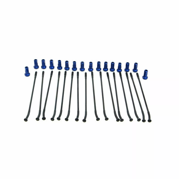 Kite sprach Kit RR 14 Bk/BL 20.925.1.bl