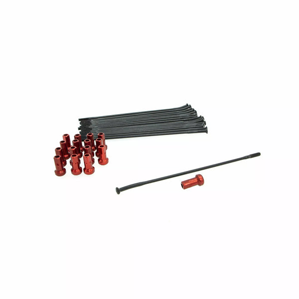 Kite sprach Kit RR 16 Bk/Rd 20.927.1.ro