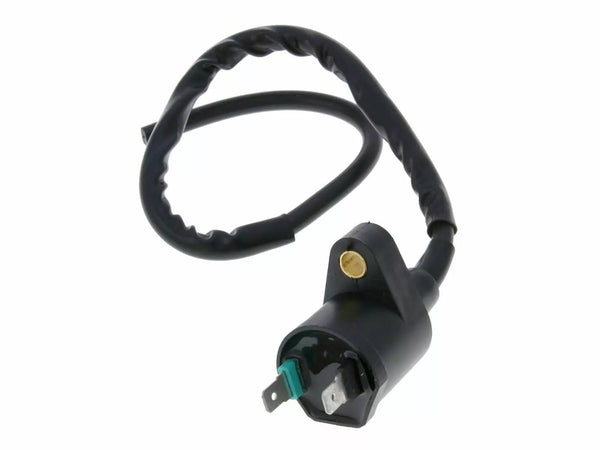 101 Octane Ignition Coil IP32532
