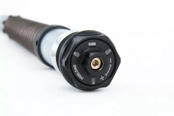 Ohlins Cartridge BMW R Ninet Pure/RAC FKS 220