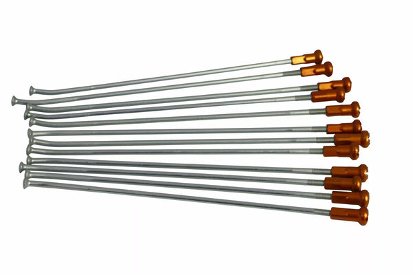 Kite -Speichen 18 RR Si/oder Nip 20.909.0.ar