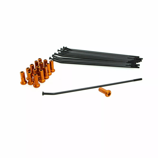 Kite sprach Kit FR 14 Bk/oder 20.922.1.ar