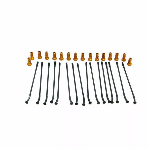 Kite sprach Kit RR 14 Bk/oder 20.925.1.ar