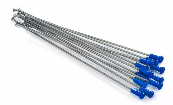 Kite sprach Kit RR 16 SIL/BL 20.927.0.BL